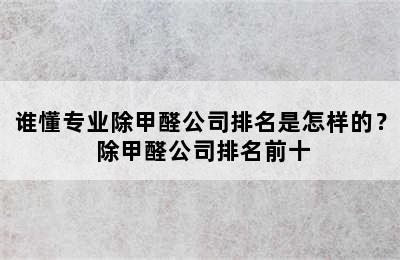 谁懂专业除甲醛公司排名是怎样的？ 除甲醛公司排名前十